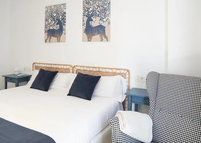 Apartamentos Mlc Ciudad De Linares